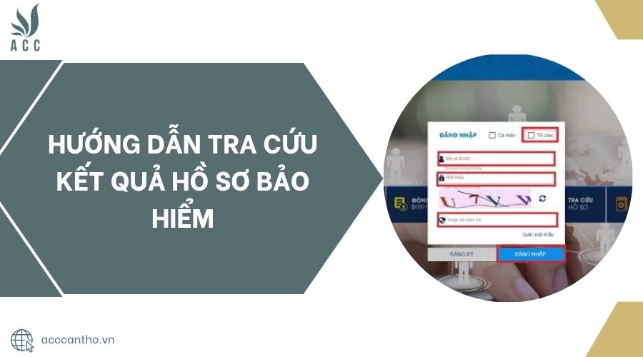 Hướng dẫn tra cứu kết quả hồ sơ bảo hiểm