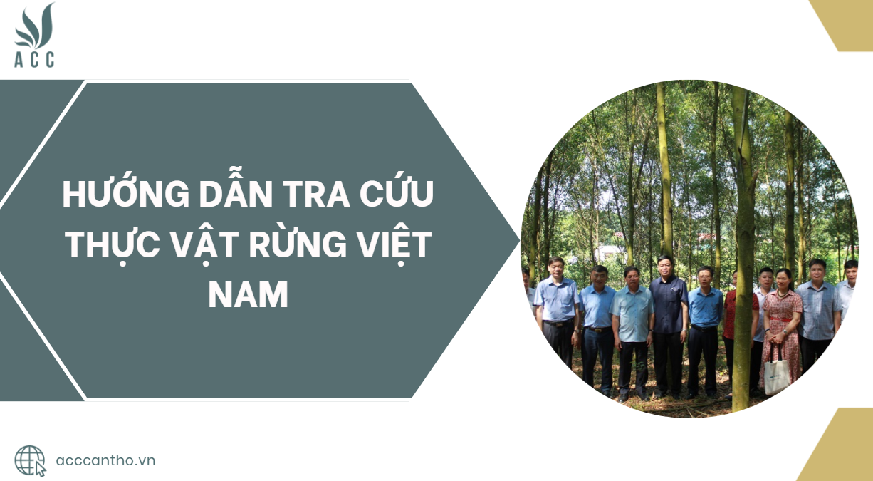 Hướng dẫn tra cứu thực vật rừng Việt Nam