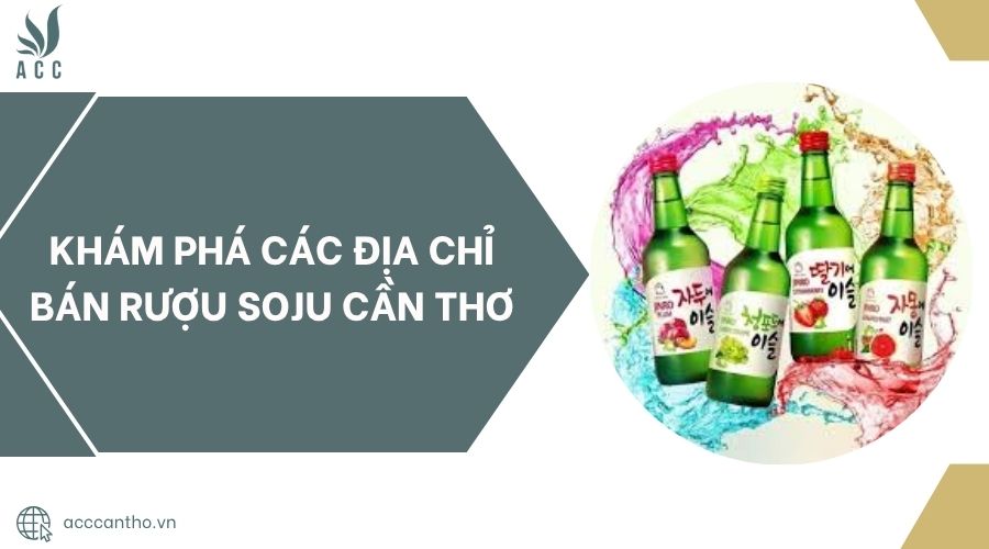 Khám phá các địa chỉ bán Rượu Soju Cần Thơ