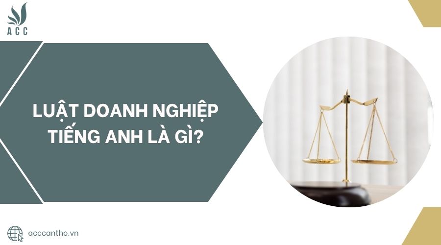 Luật doanh nghiệp tiếng Anh là gì?