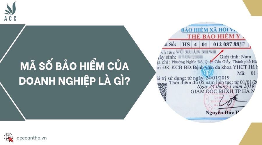 Mã số bảo hiểm của doanh nghiệp là gì?