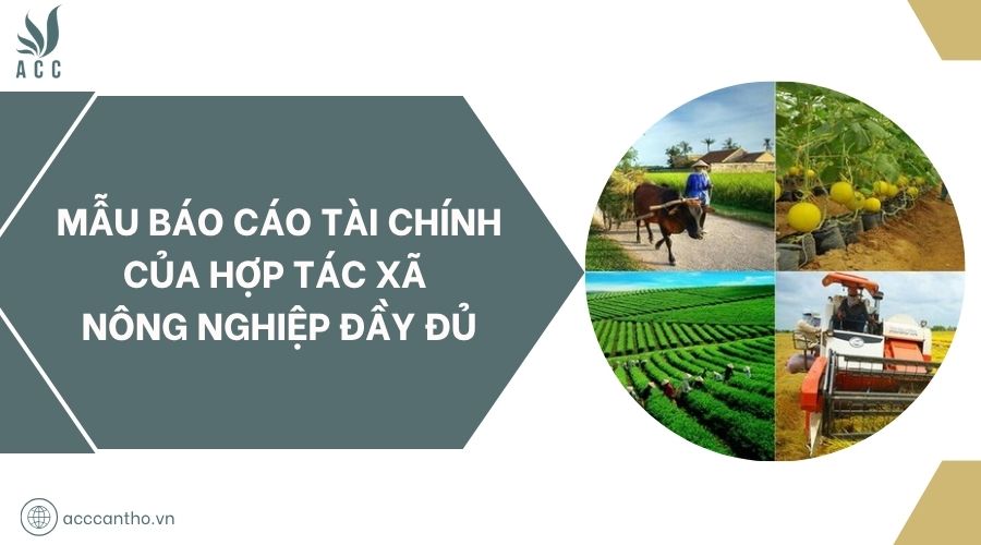 Mẫu báo cáo tài chính của hợp tác xã nông nghiệp đầy đủ