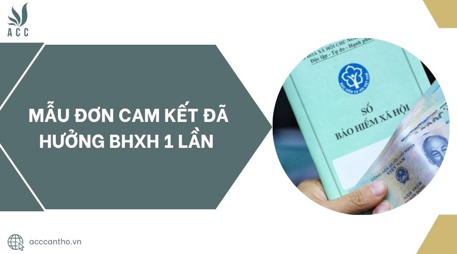 Mẫu đơn cam kết đã hưởng BHXH 1 lần 