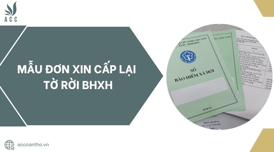 Mẫu đơn xin cấp lại tờ rời BHXH