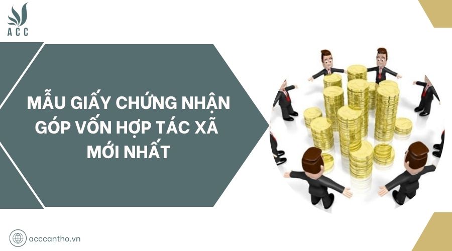 Mẫu giấy chứng nhận góp vốn hợp tác xã mới nhất