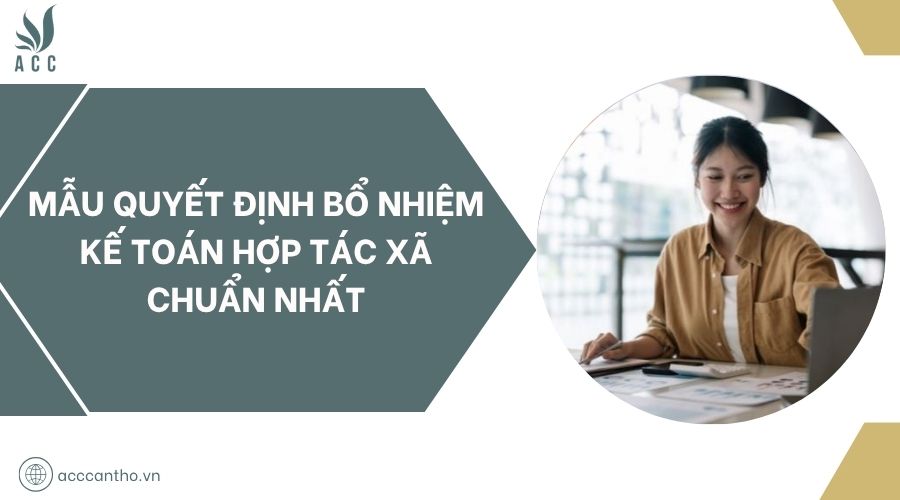 Mẫu quyết định bổ nhiệm kế toán hợp tác xã chuẩn nhất