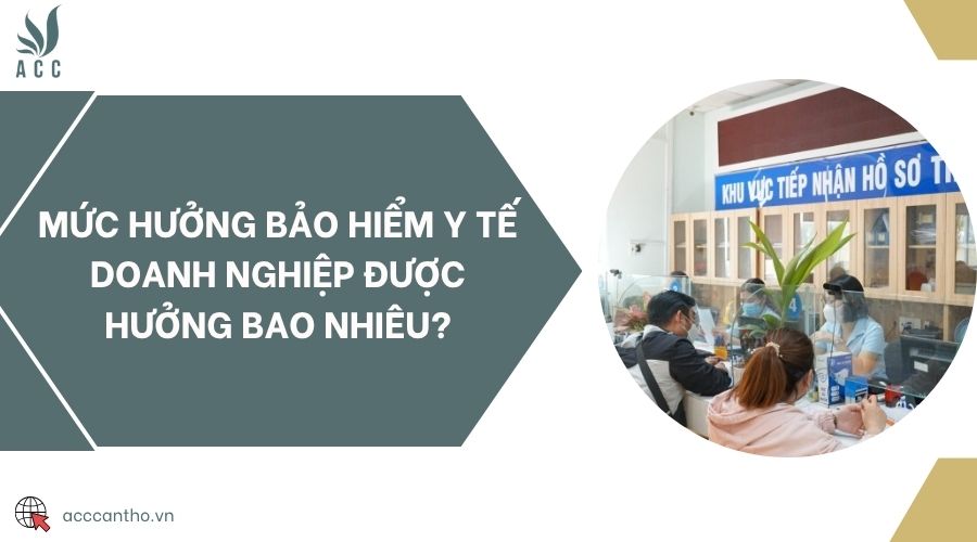 Mức hưởng bảo hiểm y tế doanh nghiệp được hưởng bao nhiêu?