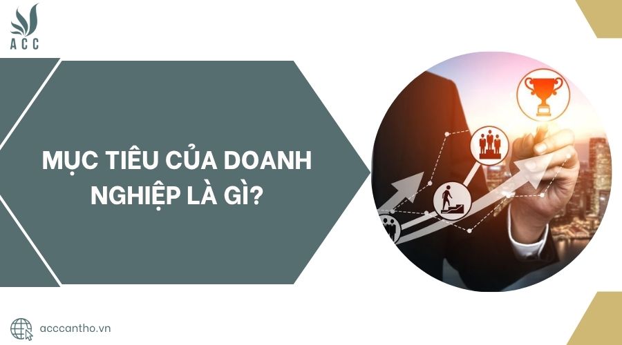 Mục tiêu của doanh nghiệp là gì?