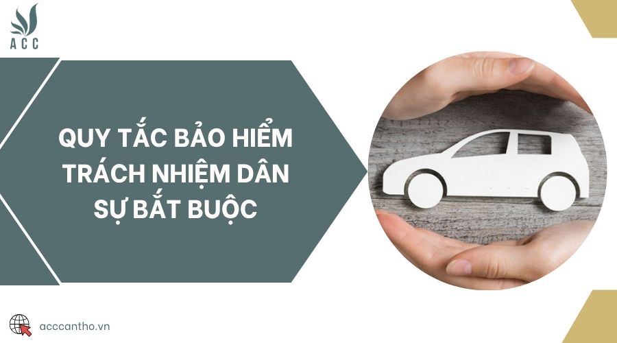 Quy tắc bảo hiểm trách nhiệm dân sự bắt buộc