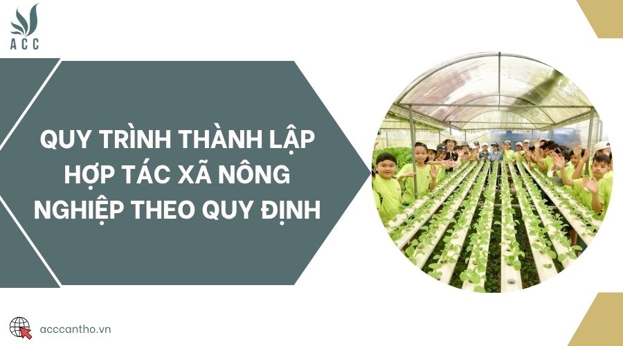 Quy trình thành lập hợp tác xã nông nghiệp theo quy định