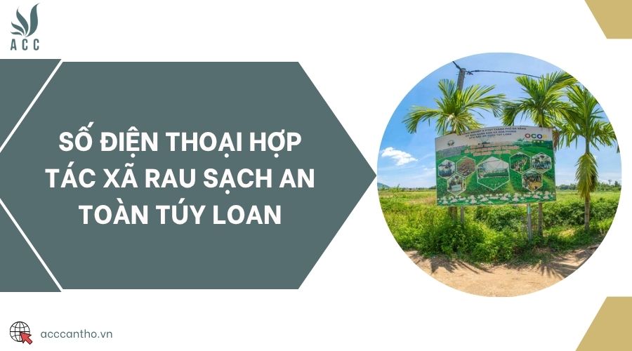 Số điện thoại Hợp tác xã rau sạch an toàn Túy Loan