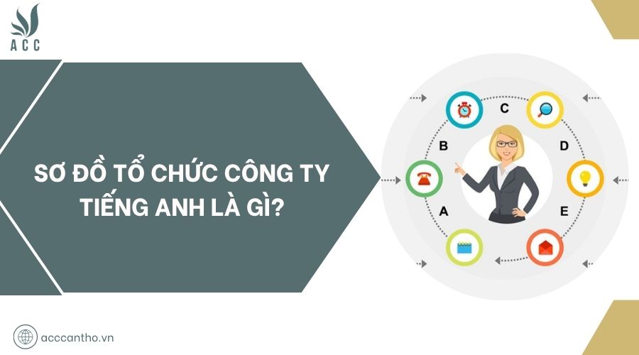 Sơ đồ tổ chức công ty tiếng Anh là gì?