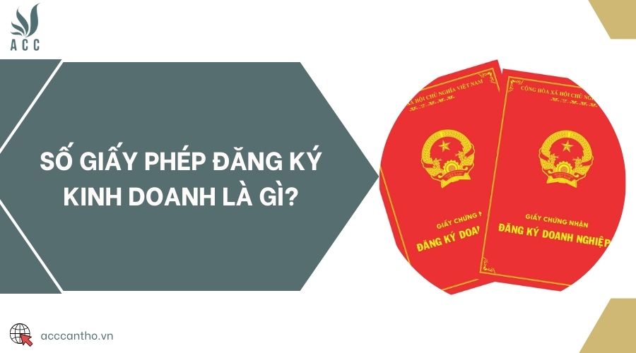 Số giấy phép đăng ký fv888 là gì?