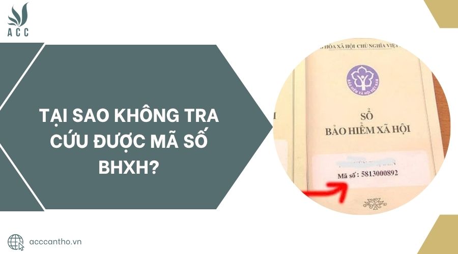 Tại sao không tra cứu được mã số BHXH?