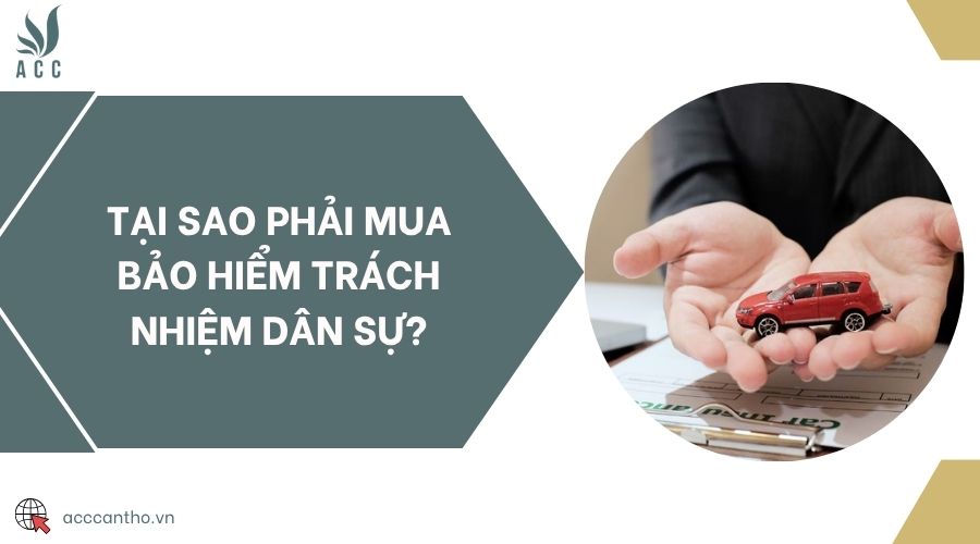 Tại sao phải mua bảo hiểm trách nhiệm dân sự?