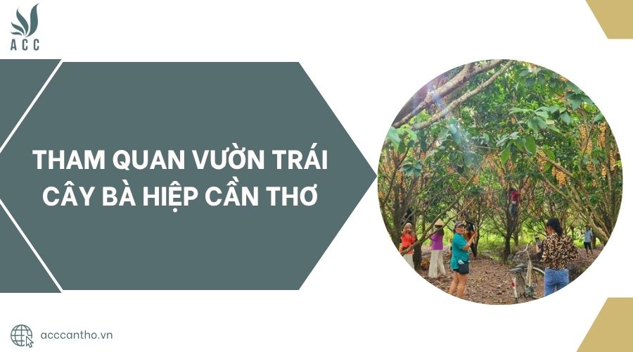 Tham quan Vườn trái cây bà Hiệp Cần Thơ
