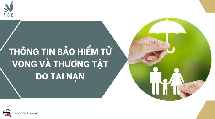 Thông tin bảo hiểm tử vong và thương tật do tai nạn