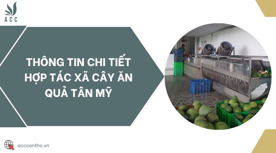 Thông tin chi tiết Hợp tác xã cây ăn quả Tân Mỹ