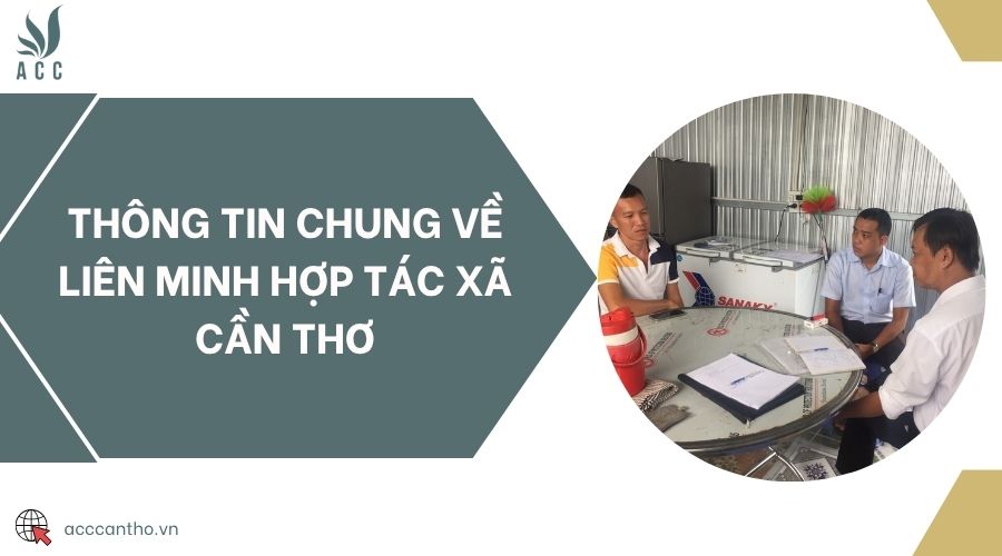 Thông tin chung về Liên minh Hợp tác xã Cần Thơ
