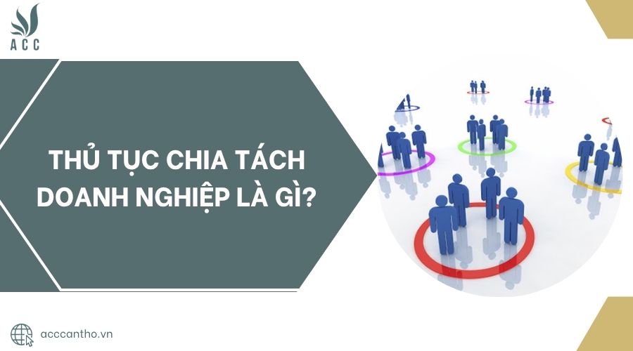 Thủ tục chia tách doanh nghiệp là gì?