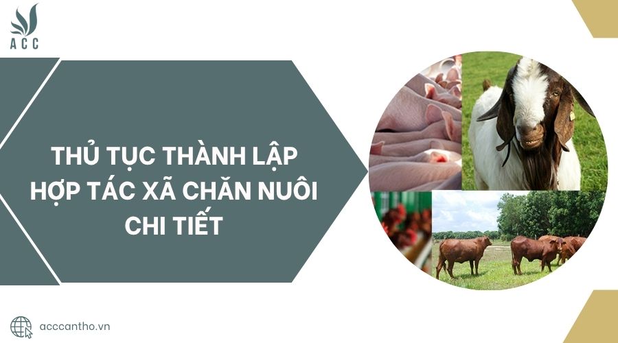 Thủ tục thành lập hợp tác xã chăn nuôi chi tiết