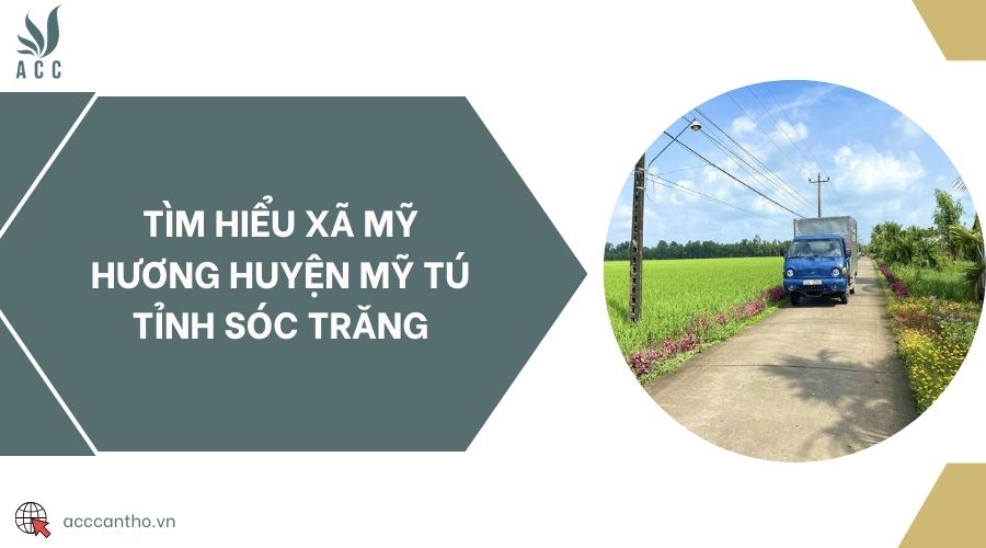 Tìm hiểu Xã Mỹ Hương Huyện Mỹ Tú Tỉnh Sóc Trăng