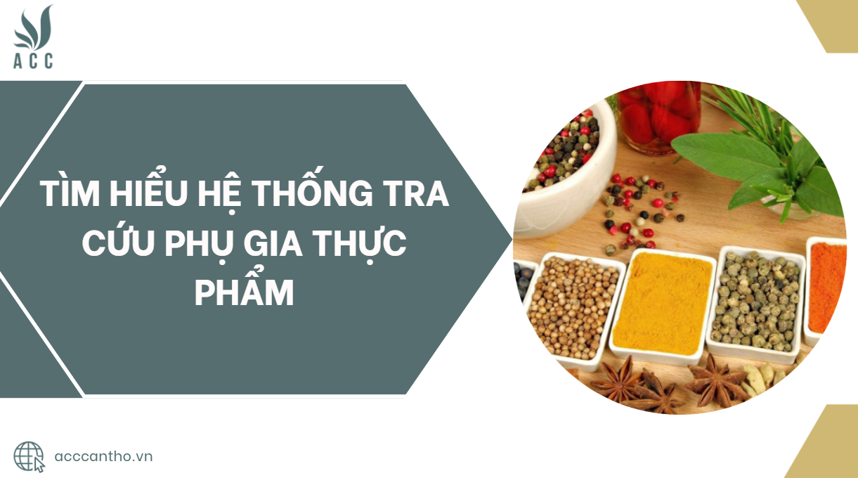 Tìm hiểu hệ thống tra cứu phụ gia thực phẩm