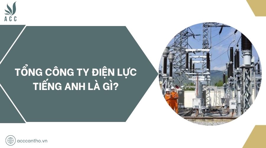 Tổng công ty điện lực tiếng Anh là gì?