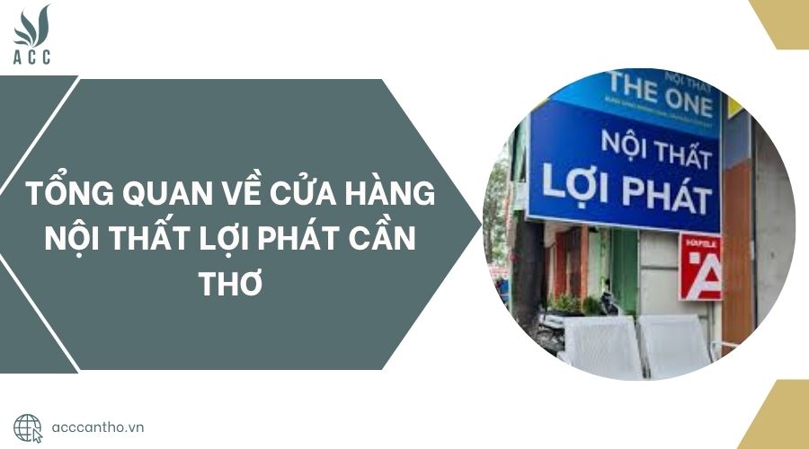 Tổng quan về Cửa Hàng Nội Thất Lợi Phát Cần Thơ