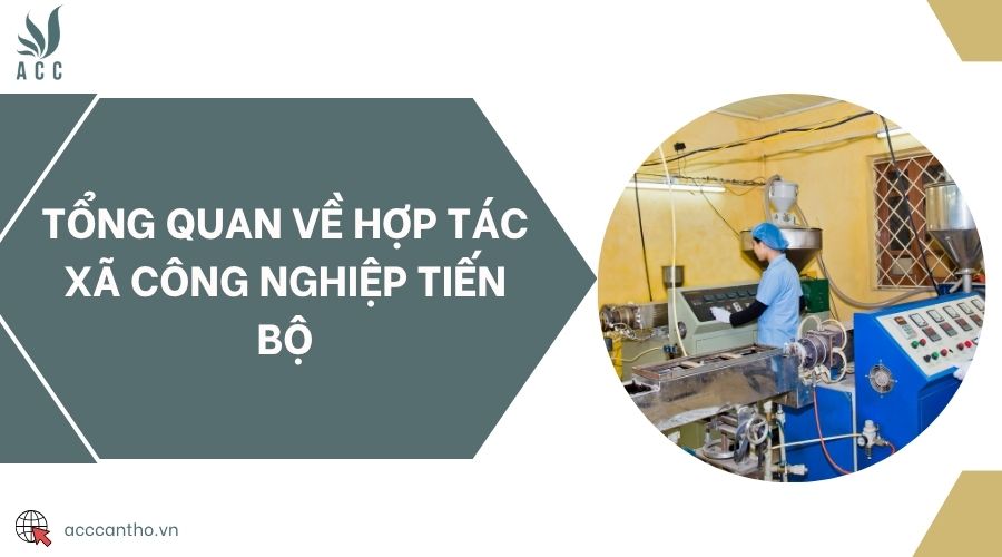 Tổng quan về Hợp tác xã công nghiệp Tiến Bộ