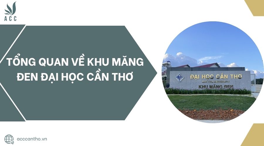 Tổng quan về Khu Măng Đen Đại Học Cần Thơ