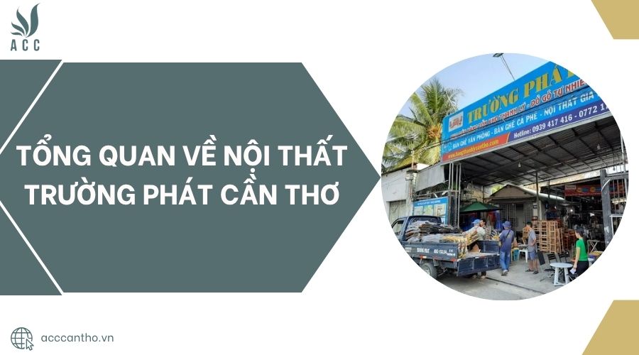 Tổng quan về Nội thất Trường Phát Cần Thơ
