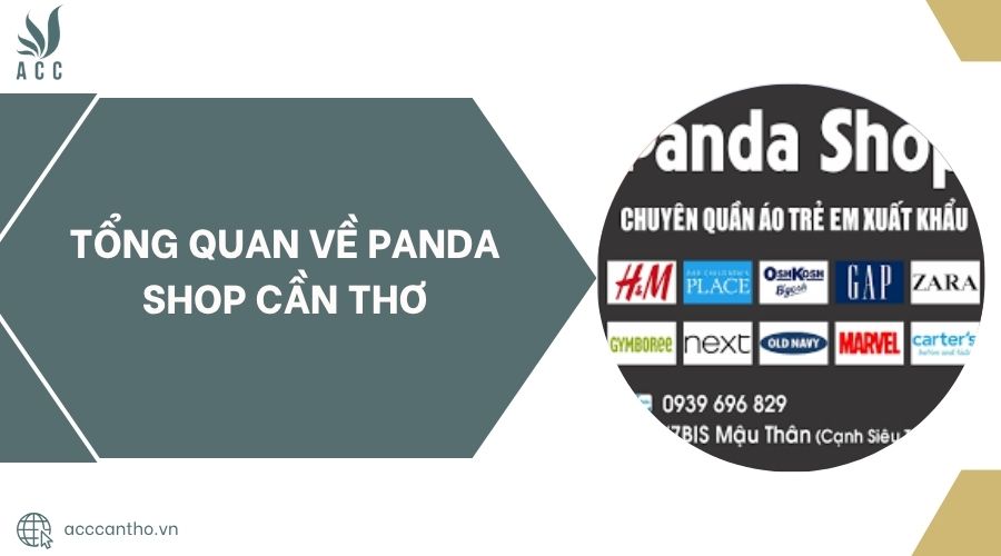 Tổng quan về Panda shop Cần Thơ