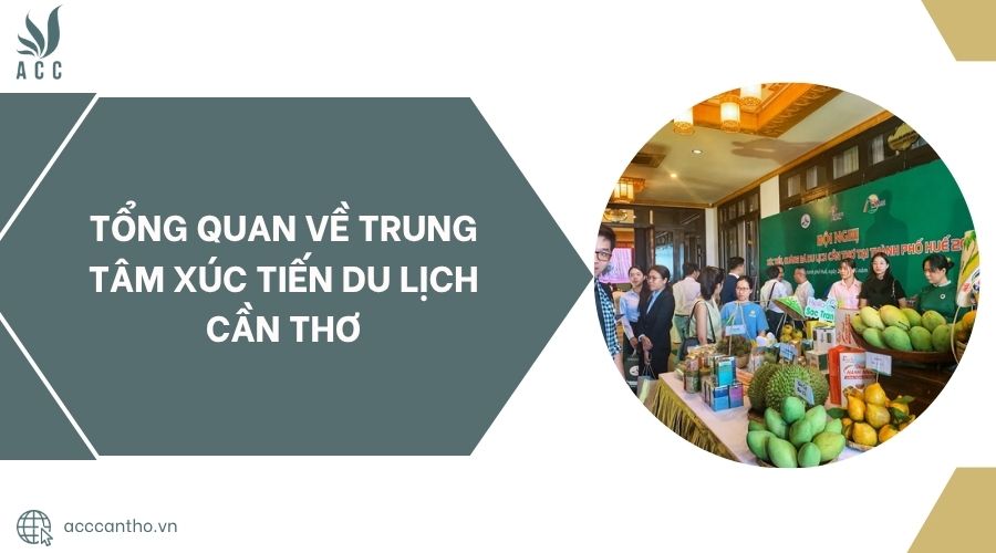 Tổng quan về Trung tâm Xúc tiến du lịch Cần Thơ