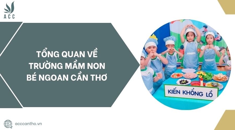 Tổng quan về Trường Mầm Non Bé Ngoan Cần Thơ