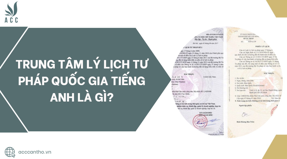 Trung tâm lý lịch tư pháp quốc gia Tiếng Anh là gì?