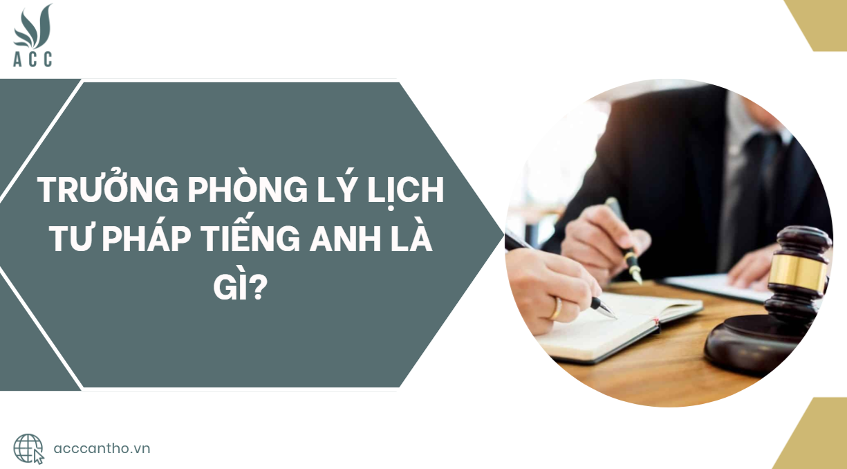 Trưởng phòng lý lịch tư pháp Tiếng Anh là gì?
