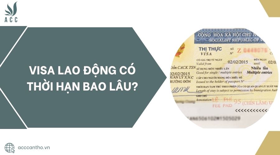 Visa fv88 link có thời hạn bao lâu?