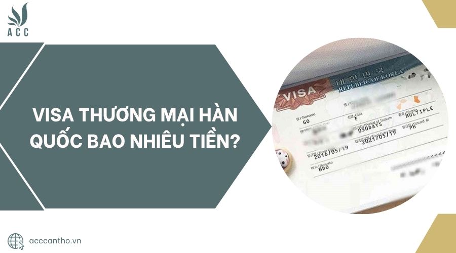 Visa thương mại Hàn Quốc bao nhiêu tiền?