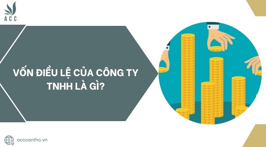 Vốn điều lệ của công ty TNHH là gì?