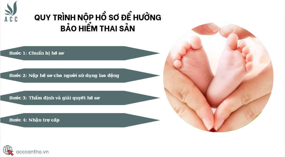 Quy trình nộp hồ sơ để hưởng bảo hiểm thai sản