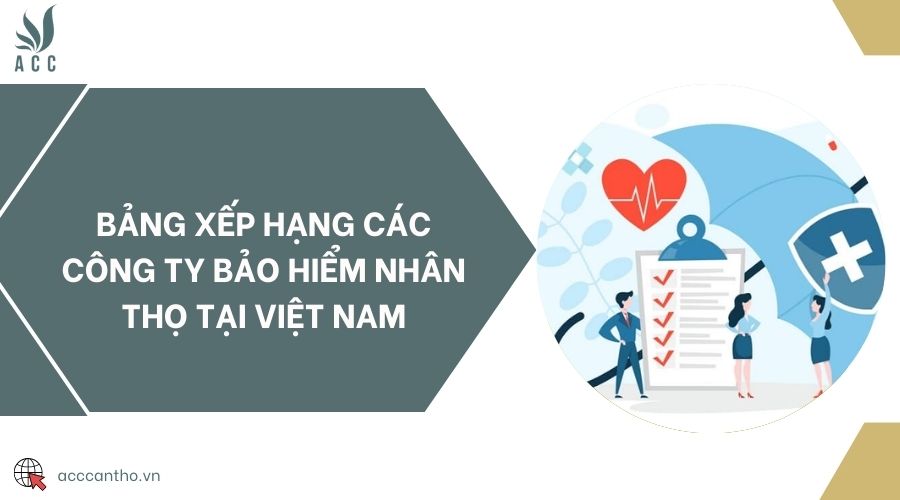 Bảng xếp hạng các công ty bảo hiểm nhân thọ tại Việt Nam