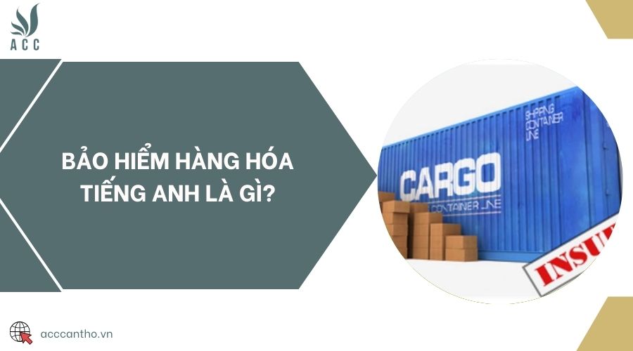 Bảo hiểm hàng hóa tiếng Anh là gì?
