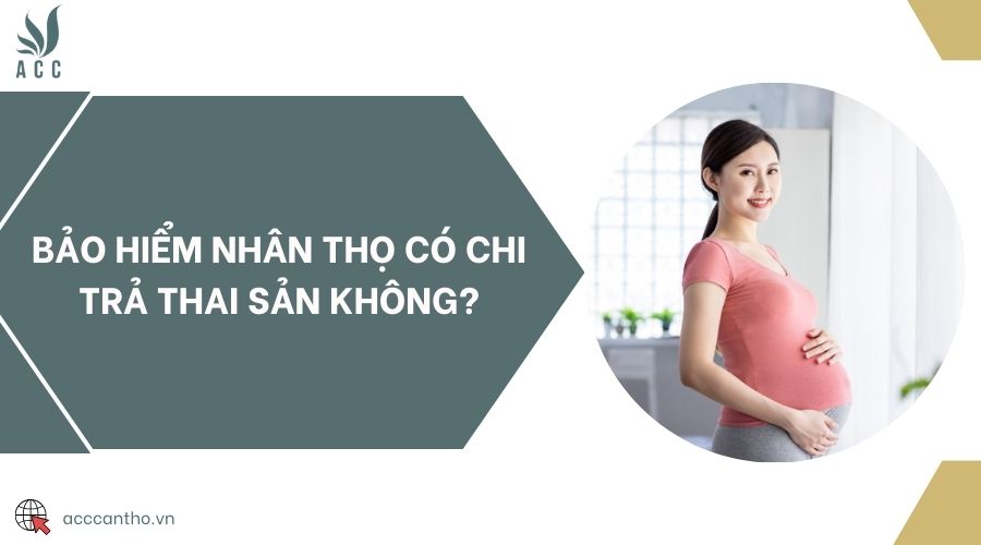 Bảo hiểm nhân thọ có chi trả thai sản không?