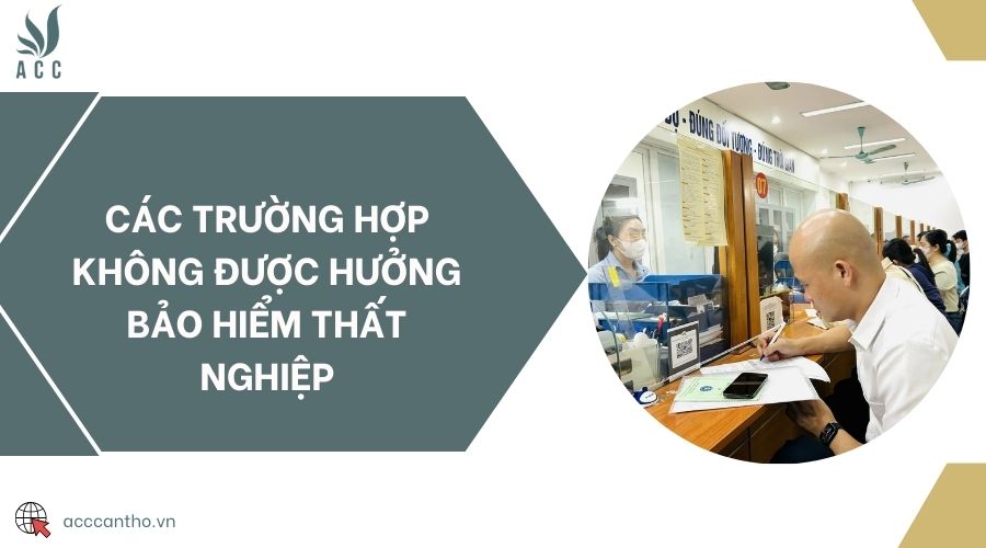 Các trường hợp không được hưởng bảo hiểm thất nghiệp