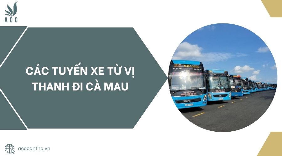 Các tuyến xe từ Vị Thanh đi Cà Mau
