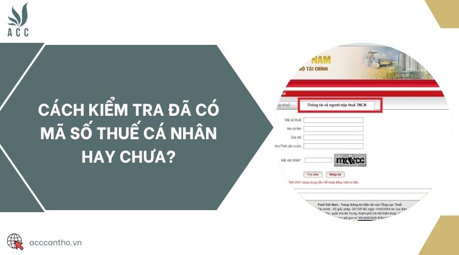 Cách kiểm tra đã có mã số thuế cá nhân hay chưa?