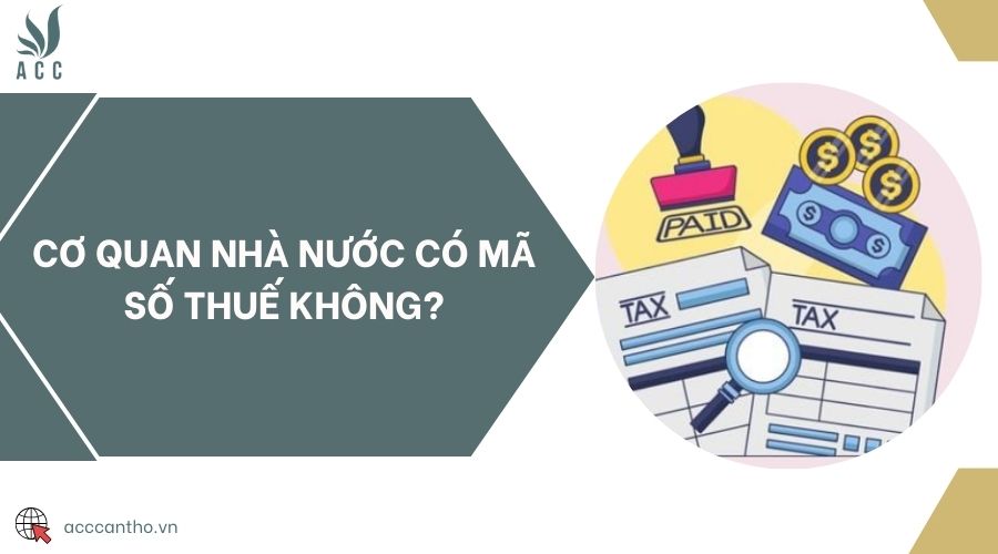 Cơ quan nhà nước có mã số thuế không?