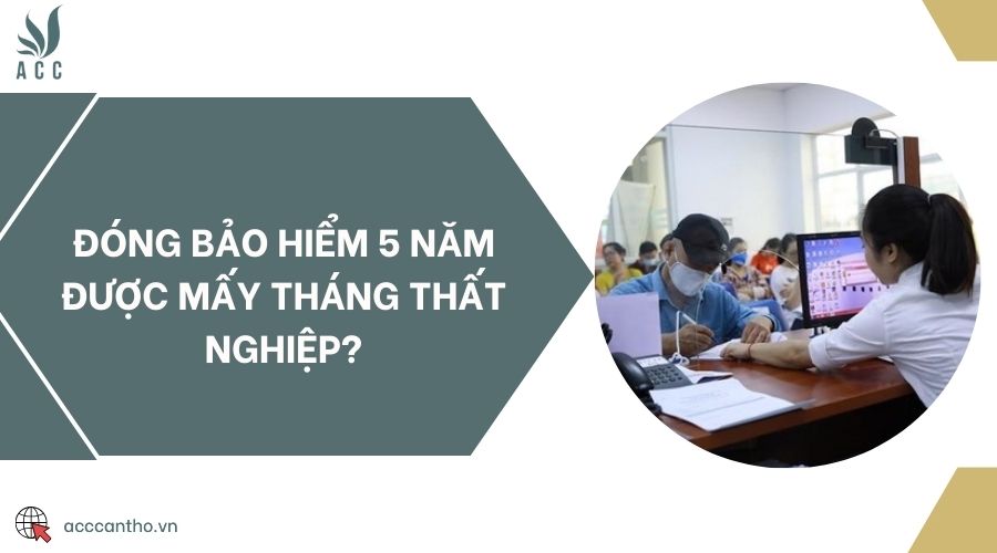 Đóng bảo hiểm 5 năm được mấy tháng thất nghiệp?