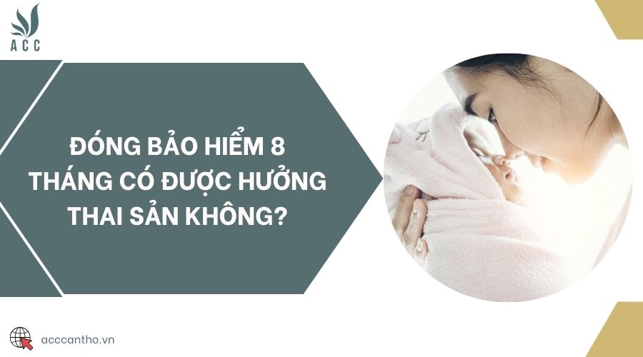Đóng bảo hiểm 8 tháng có được hưởng thai sản không?